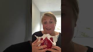 What To Expect From Pelvic Floor Physical Therapy