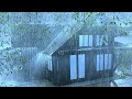 Gradually Into a Deep Sleep with Extremely Strong Rain & Thunder Resounding on the Wild Forest Farm