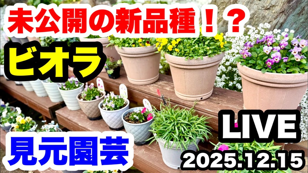 ◇見元園芸【未公開品種】をこっそり公開！スペシャルLIVE - YouTube