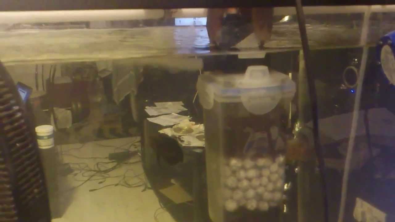 my homemade moving bed filter YouTube