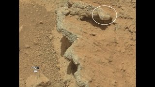 На Марсе ученые рассмотрели окаменелый скелет. На Марсе ученые рассмотрели окаменелый скелет.