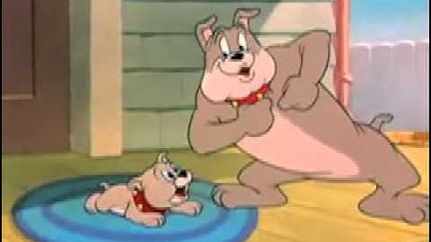 Tom & Jerry moving image assignment