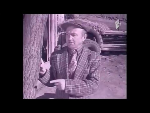 ძირითადად ეგრეა