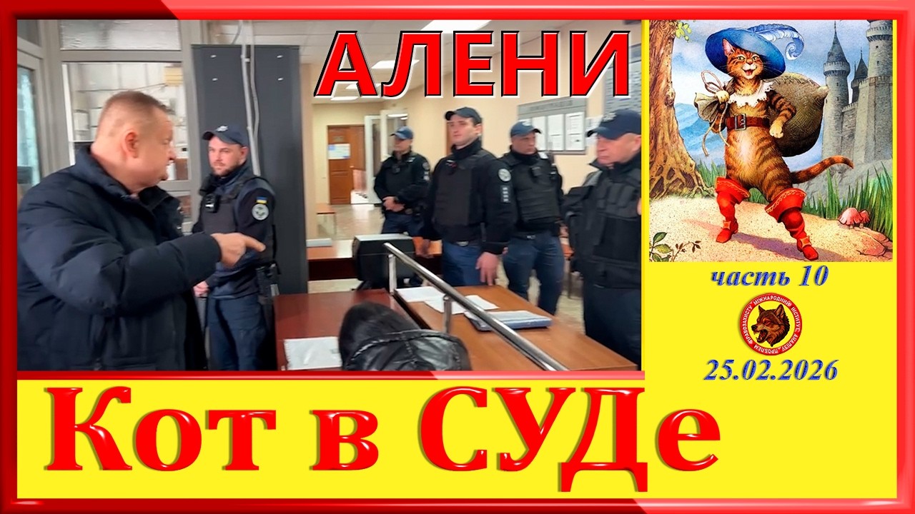 КОТ В СУДЕ: АЛЕНИ