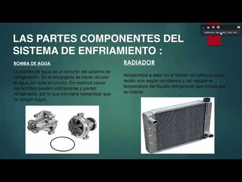 Vídeo: Com Es Construeix Un Gràfic De Temperatura