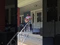 Akron PorchRokr 2025 Part 2