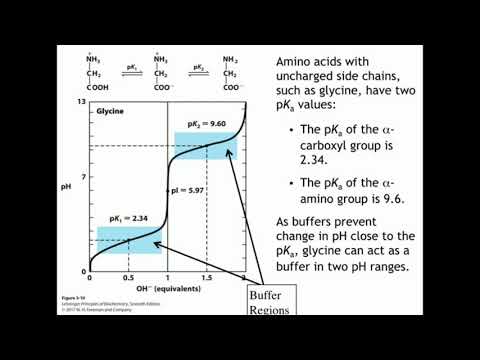 Video: Hvad er virkningen af aminokapronsyre?