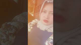 Agen Purwogondo Live Sore Barxolid Maxalmina Jepara