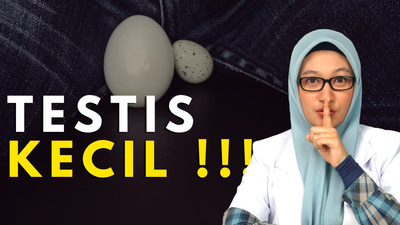 TESTIS KECIL INI PENYEBAB DAN CARA MENGATASINYA