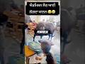 ਐਡਮਿਸ਼ਨ ਲੈਣ ਆਈ ਲੱਗਦਾ ਕਾਲਜ 😂New punjabi funny video #shorts #punjabi #funnyvideo