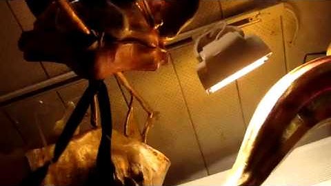 Sergio Boldrin in his mask shop in Venice