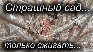 Страшный сад... Только сжигать... МирДез