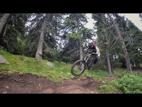 Gravity Freaks on