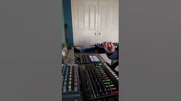 Dawless house jam - #tr8s #bassstation2 #td3 #circuittracks #housemusic #techno