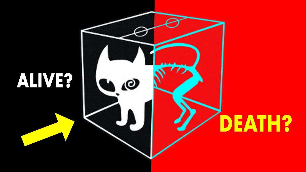 Schrodinger's Cat Mystery