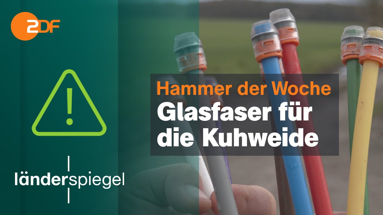 Realer Irrsinn: Glasfaser auf Kuhweide in Ludwigslust-Parchim | extra 3 | NDR