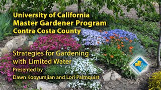 Strategies for Gardening with Limited Water: Weathering Drought in California - Edited for Brevity