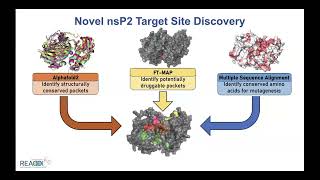 Nat Moorman's 2024-03-20 Antiviral Drug Discovery (AViDD) Open Science Forum Talk