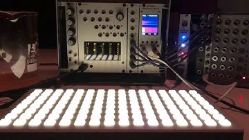 Teletype Grid Telex Polysynth