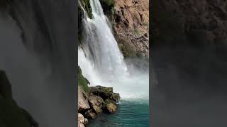 3842 1021009 mp3