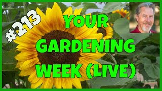Gardening Tips to Avoid (Q&A)