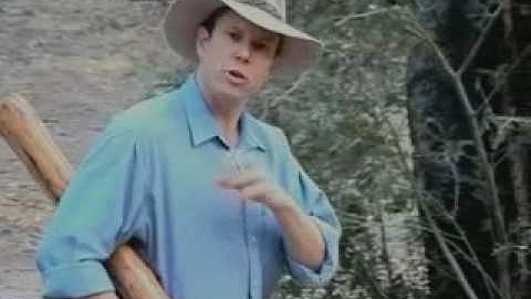 Learn to Play the Didgeridoo--A Quickstart Guide Part 5