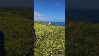 cliff fishing Newquay