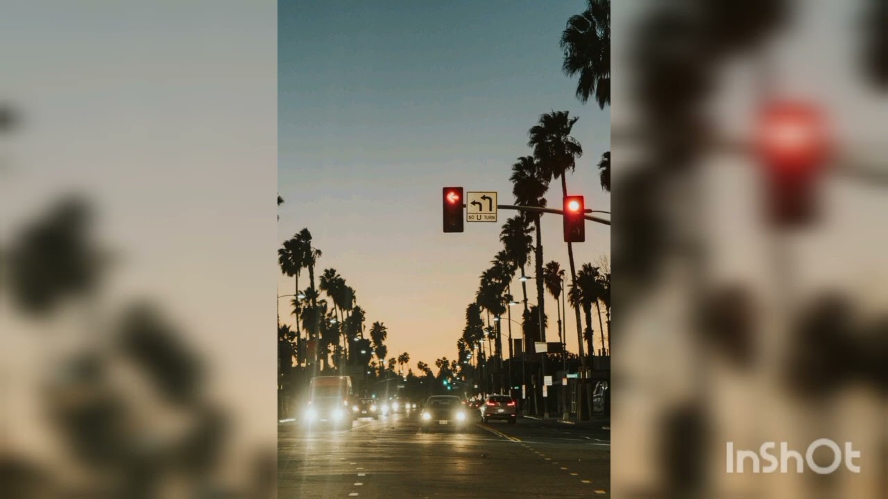 817 Patron - TRAFFIC ft. 