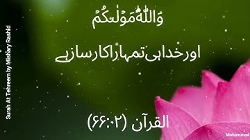 Surah At Tehreem (66) by Mishary Rashid Alafasy.سوره التحريم /مشاري راشد العفاسي