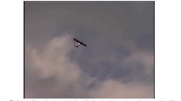 Insect Inspired Autonomous Control