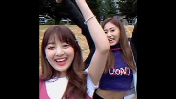 Twice Likey Likey Likey😂