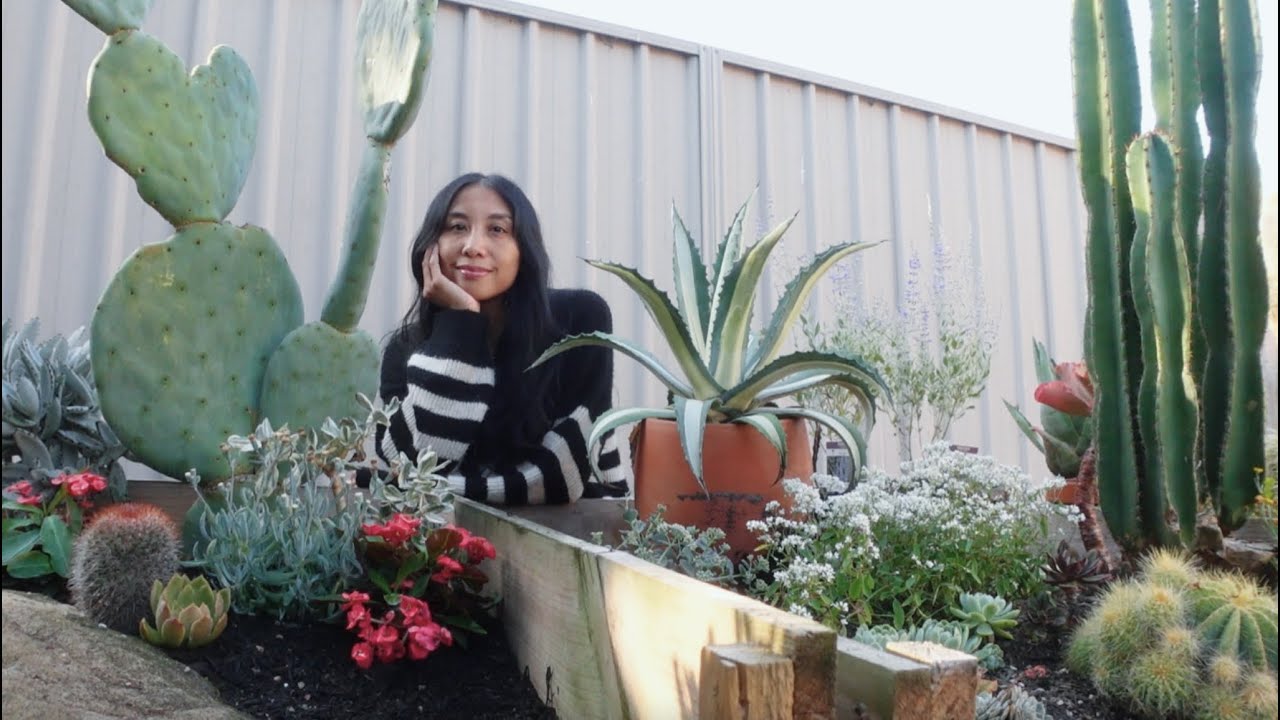 Новости сада: прогресс в заполнении наших приподнятых клумб с суккулентами 🌵🌸