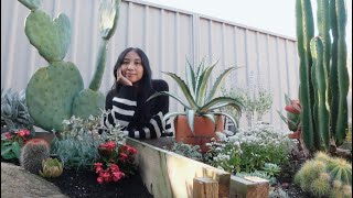 Garden Update: Progress On Filling Out Our Raised Succulent Beds 🌵🌸