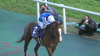 【高松宮記念】ナランフレグ 丸田恭介 人馬ともに初GⅠ制覇 ウィニングラン 現地映像