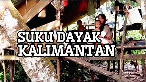 Sejarah & Tradisi Suku Dayak Kalimantan