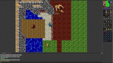 Tibia 7.4 (Fortera. Level 20 Sorcerer PK in Thais, many frags and nice loot)