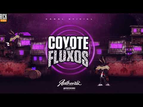 28 MINUTINHOS DAS EXCLUSIVAS DO MC GW 1 E 2 - A VOZ DA FAVELA - (COYOTE DOS FLUXOS) 2025