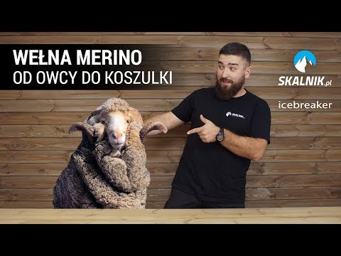 Wideo: Różnica Między Przędzą A Wełną