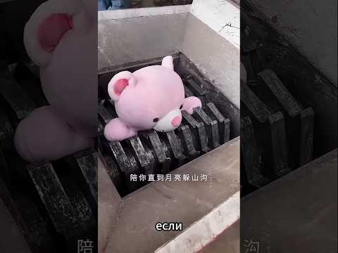 Зачем ты положил моего плюшевого мишку в стиральную машину 😲 #shortvideo