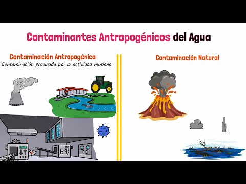 Video: ¿Qué son los productos químicos antropogénicos?