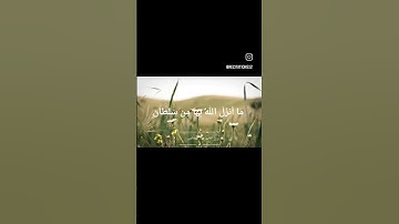 تلاوة خاشعة ل #القارئ_حمد_الهنداسي #منوعات_إسلامية2 #عمان #الامارات #سورة_النجم #السعودية #الجزائر