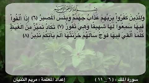 سورة الملك ٦-١١