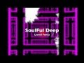 Soulful house deep fevrier 2015 part 01 lionel fonta