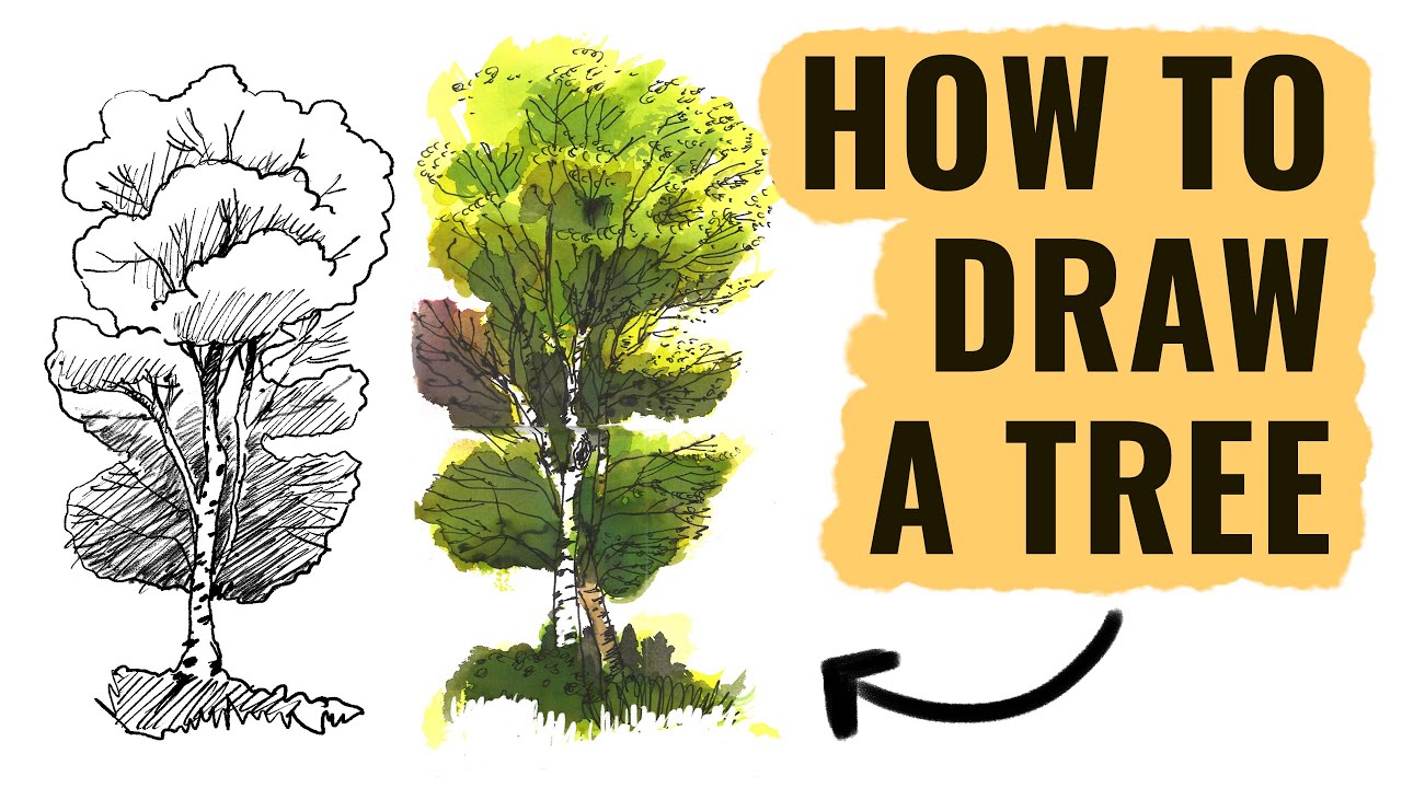 ArtStation - Absolver stylized vegetation sketches, Michel Donze |  Landscape sketch, Landscape drawings, Tree sketches