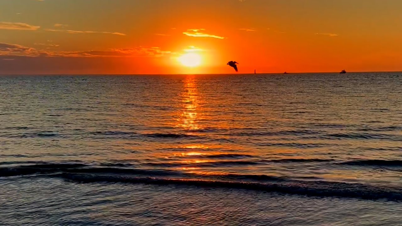 Exploring The Beautiful, Sunny and Friendly Clearwater Florida