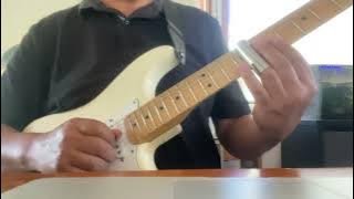 Love Hurts -Nazareth - Guitar Solo Cover by Nelsongs