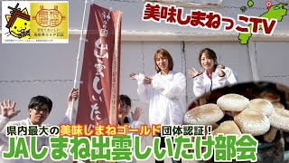 美味しまねっこTV ~JAしまね出雲しいたけ部会~ 美味しまねっこTV ~JAしまね出雲しいたけ部会~