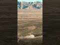 Booster Landing New Shepard NS-37 - December 20, 2025