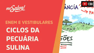 Em que destacou a pecuária Sulina?
