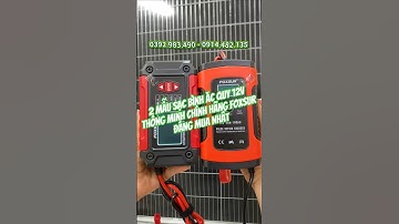 2 Mẫu Sạc Bình Ăc Quy 12V Thông Minh Chính Hãng Foxsur Đáng Mua Nhất #sacacquy